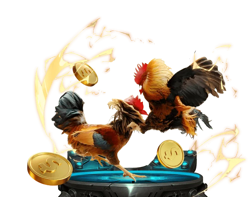 Cá cược bóng rổ